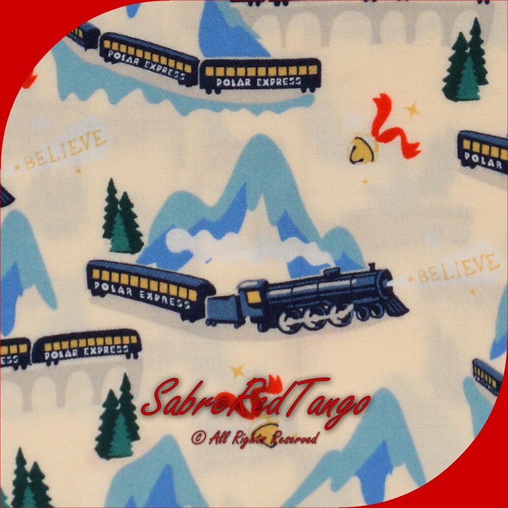 NWT Hanna Andersson Warner Bros Flannel Pajama Set Polar Express Print 150 12 - Picture 4 of 7